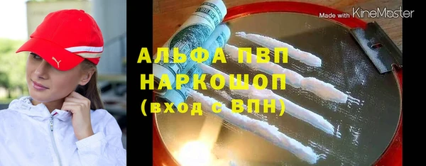 шишки Арсеньев