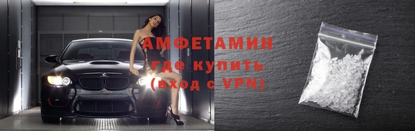 шишки Арсеньев