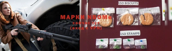 шишки Арсеньев