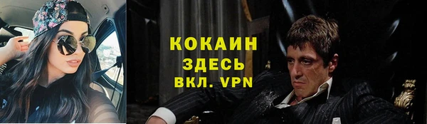 шишки Арсеньев