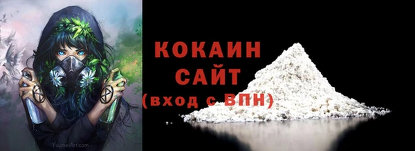 шишки Арсеньев