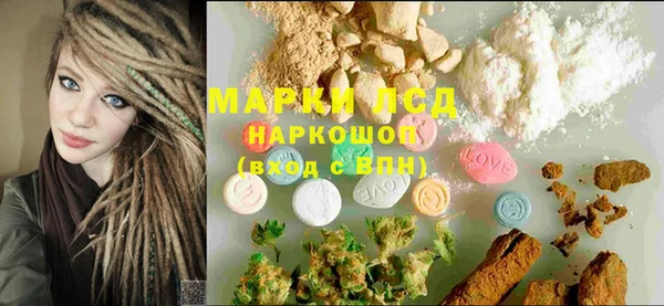 шишки Арсеньев