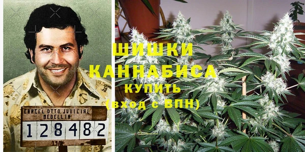 шишки Арсеньев