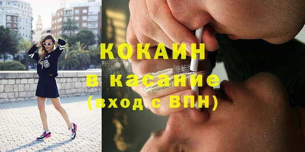 шишки Арсеньев